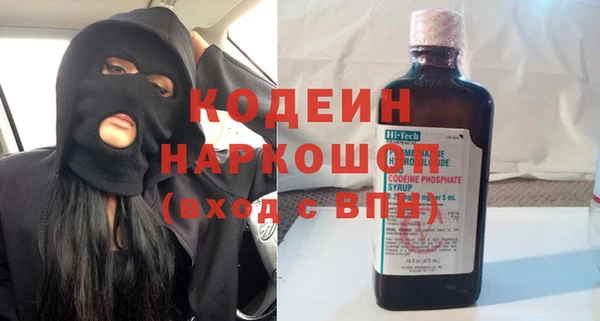 хмурый Ветлуга