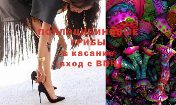 MDMA Новодвинск