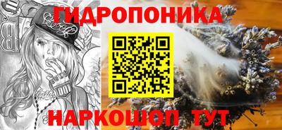 не бодяженный Камышлов