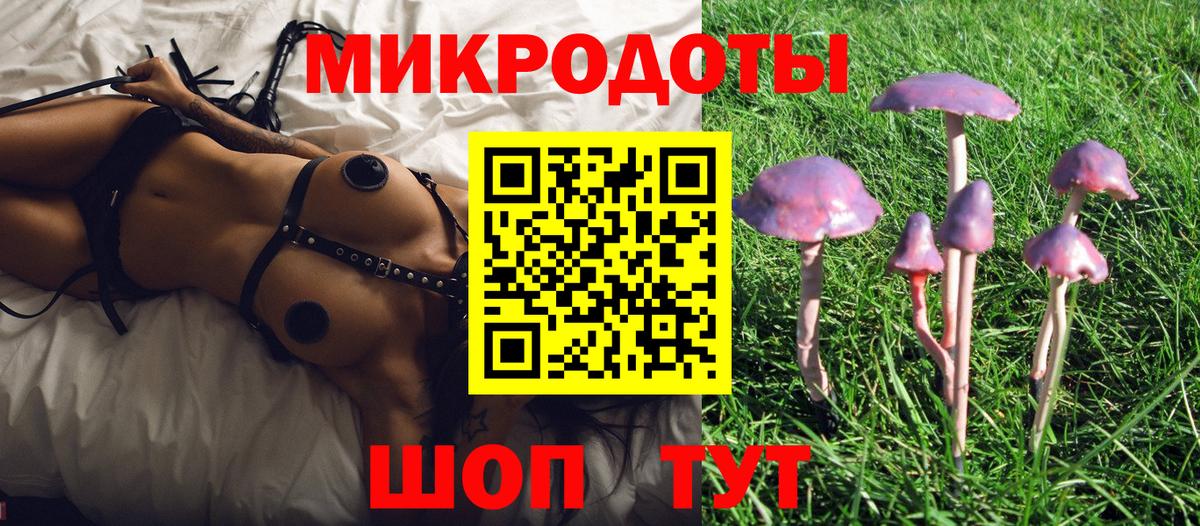 Галлюциногенные грибы GOLDEN TEACHER  Вход с VPN  Светлоград 